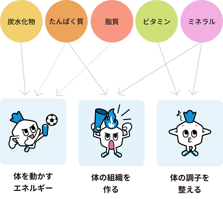 体を動かすエネルギー(炭水化物・脂質・タンパク質)体の組織を作る(タンパク質・ビタミン)体の調整を整える(ビタミン・ミネラル)