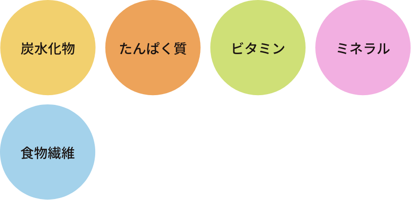 炭水化物・たんぱく質・ビタミン・ミネラル・食物繊維