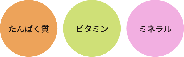 たんぱく質・ビタミン・ミネラル
